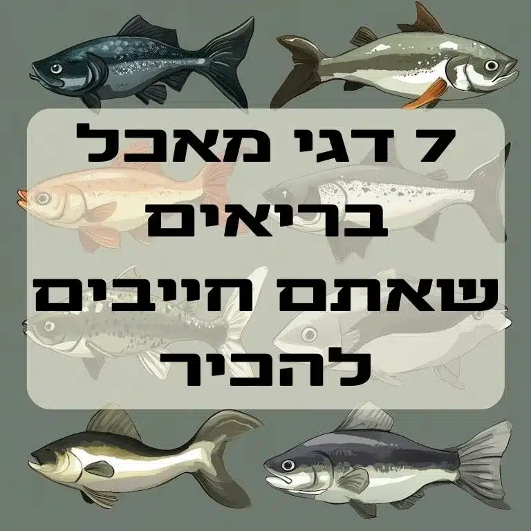 7 דגי מאכל בריאים שאתם חייבים להכיר